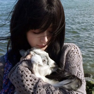 英雄虎胆美人恩